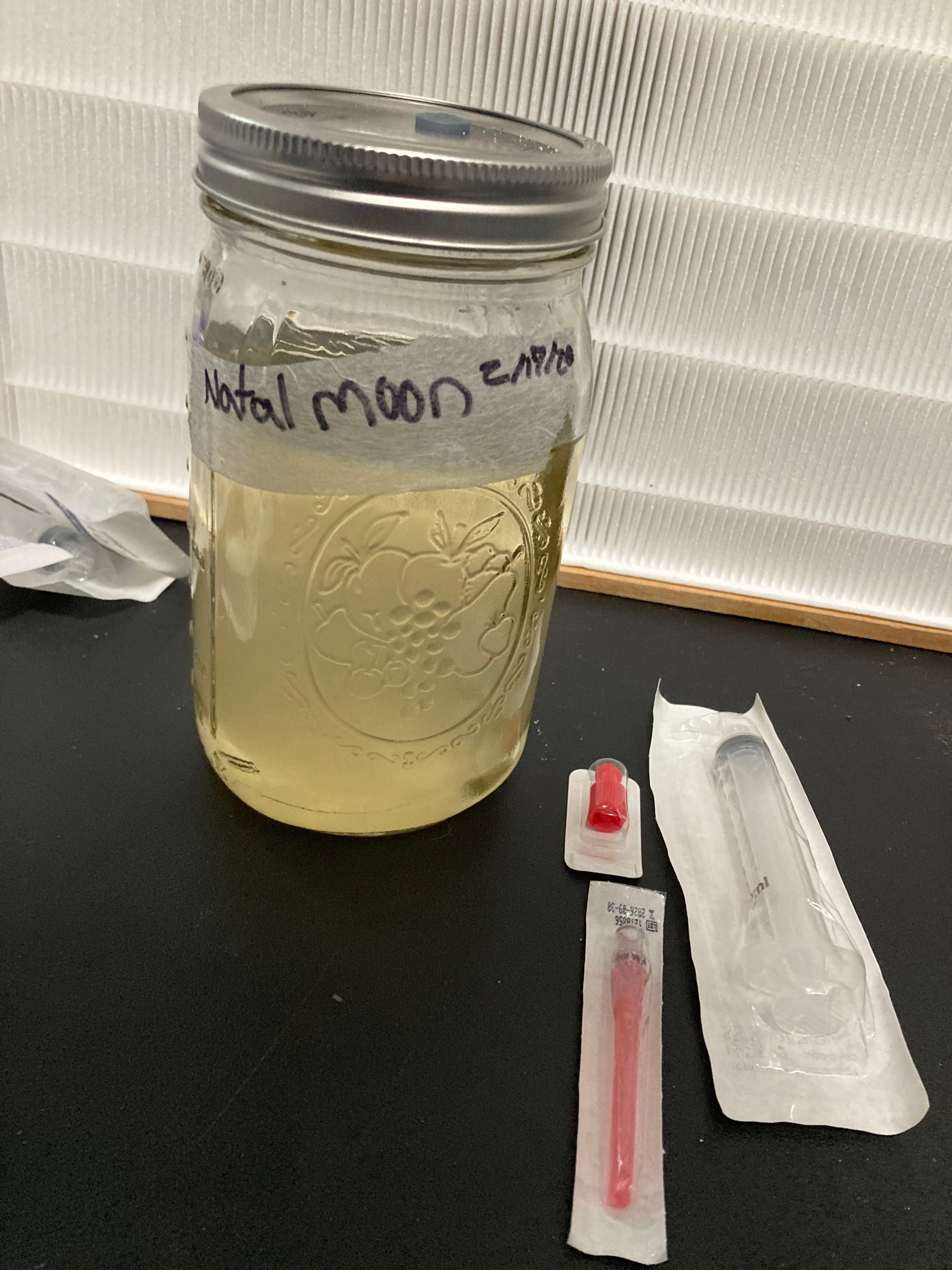 1x 10cc liquid culture Syringe (Natal Moon)