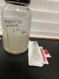1x 10cc liquid culture Syringe (Gamma Wave)