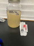 1x 10cc liquid culture Syringe (Golden Teacher)
