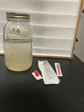 1x 10cc liquid culture Syringe (Albino Burma)