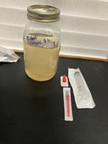 1x 10cc liquid culture Syringe (Tidal Wave)
