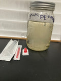 1x 10cc liquid culture Syringe (Goliath Penis Envy)