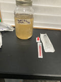 1x 10cc liquid culture Syringe (Penis Envy)