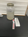 1x 10cc liquid culture Syringe (Z Strain)
