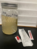 1x 10cc Liquid Culture Syringe (Jack Frost)