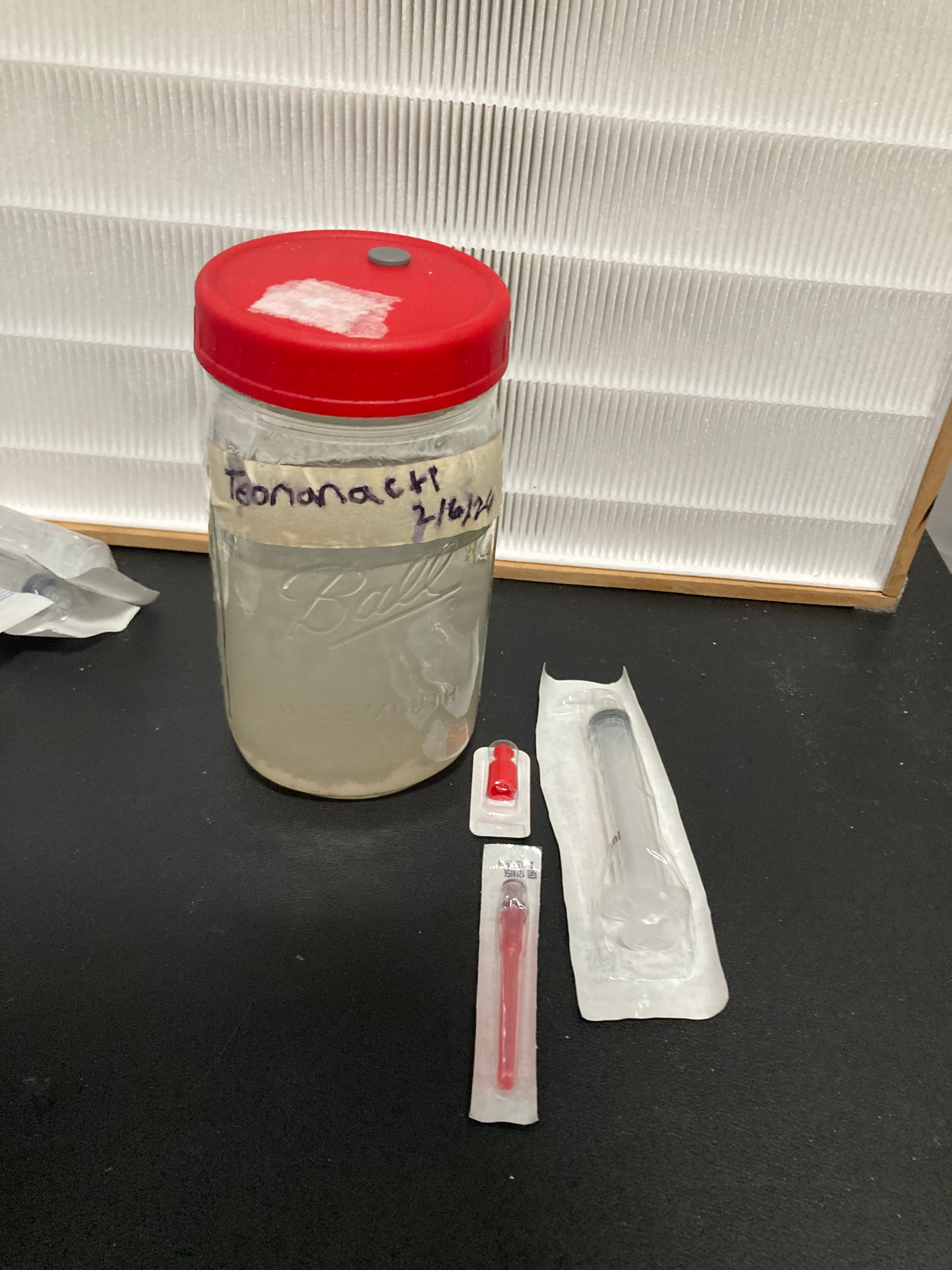 1x 10cc Liquid Culture Syringe (Teonactle)