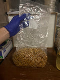 Grain Spawn bag 4lbs