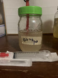 1x 10cc liquid Culture syringe (B+)
